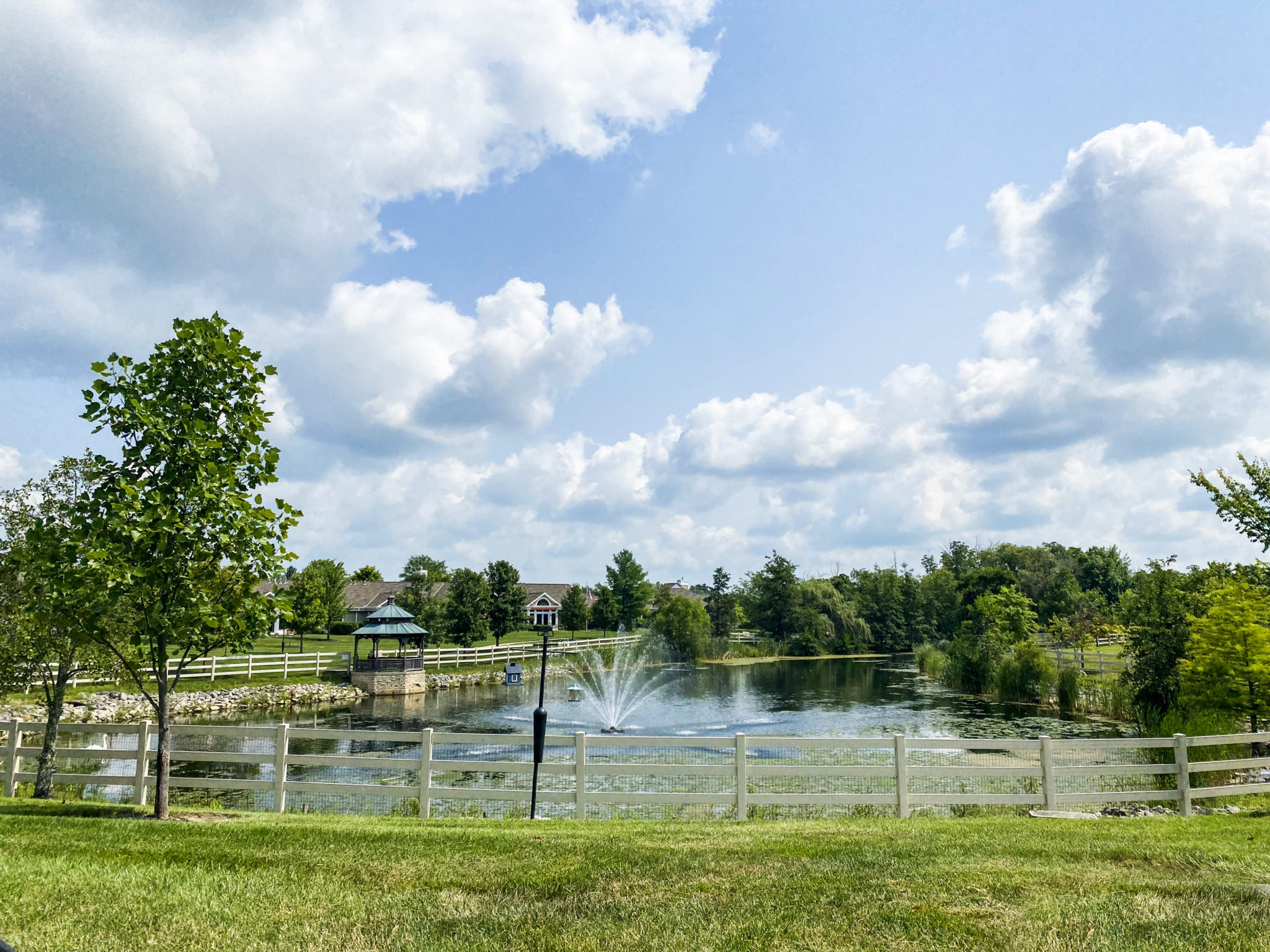 a pond with a fountain